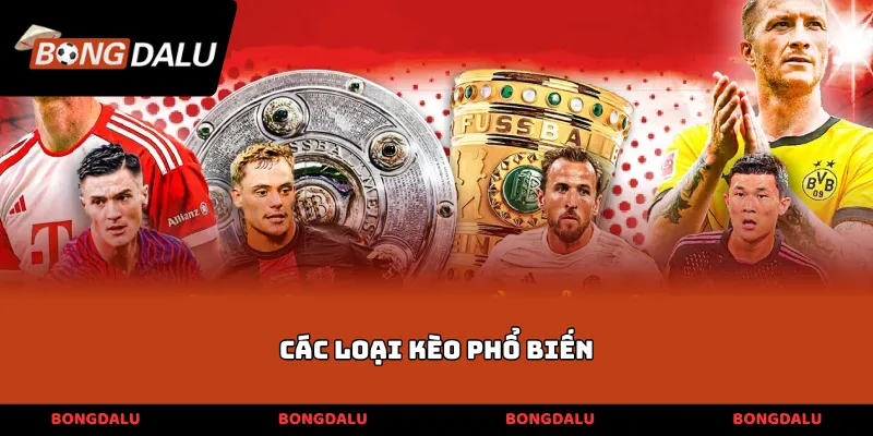 các loại kèo phổ biến