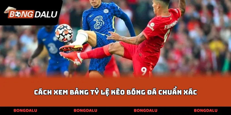 cách xem bảng tỷ lệ kèo bóng đá chuẩn xác