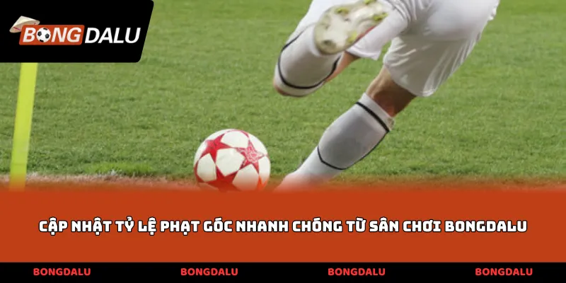 Cập nhật tỷ lệ phạt góc nhanh chóng từ sân chơi BONGDALU