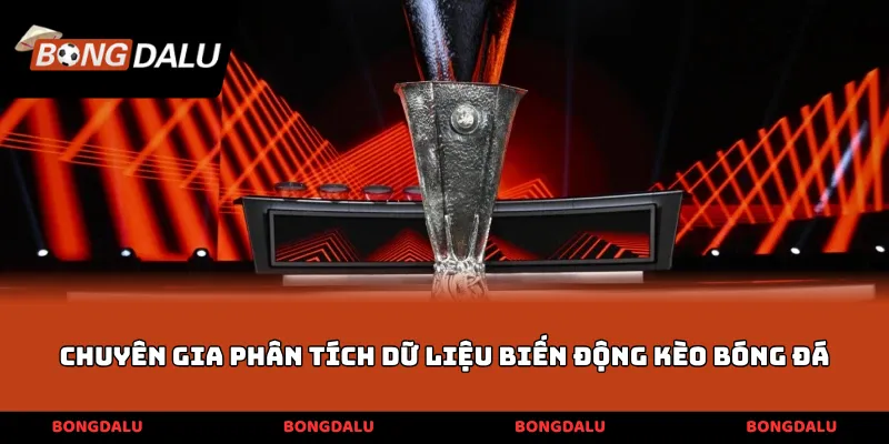 Chuyên gia phân tích dữ liệu biến động kèo bóng đá