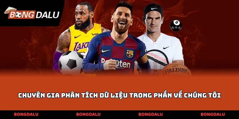 Chuyên gia phân tích dữ liệu trong phần về chúng tôi