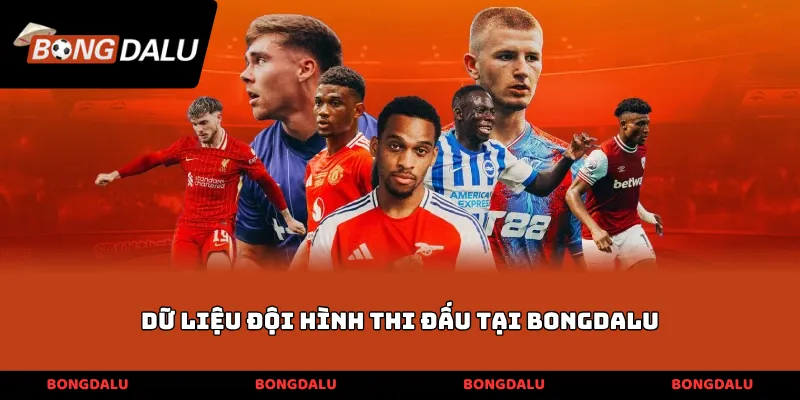 Dữ liệu đội hình thi đấu tại BONGDALU