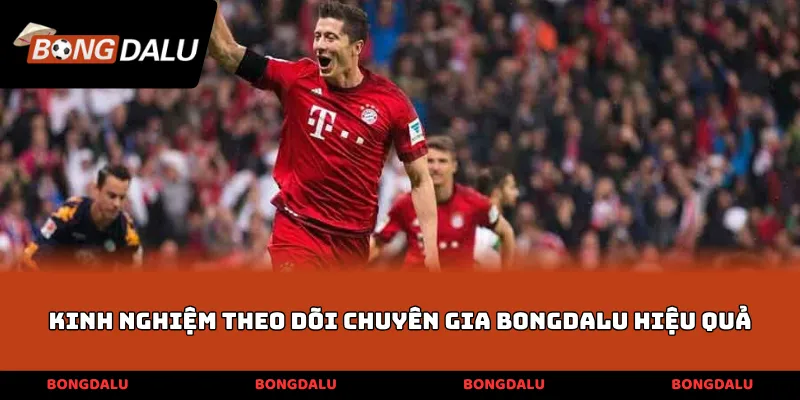 Kinh nghiệm theo dõi chuyên gia BONGDALU hiệu quả
