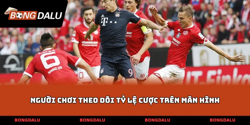 Người chơi theo dõi tỷ lệ cược trên màn hình