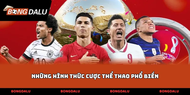 Những hình thức cược thể thao phổ biến