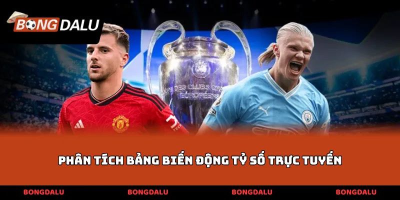 Phân tích bảng biến động tỷ số trực tuyến