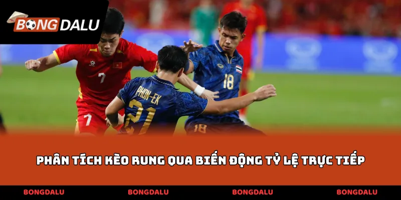 Phân tích kèo rung qua biến động tỷ lệ trực tiếp