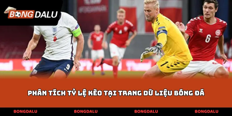 Phân tích tỷ lệ kèo tại trang dữ liệu bóng đá