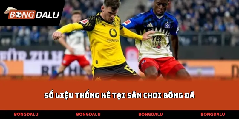 Số liệu thống kê tại sân chơi bóng đá