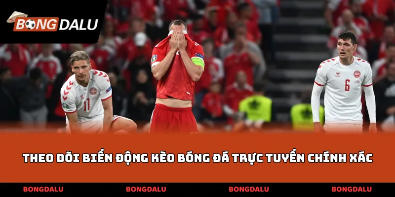 Theo dõi biến động kèo bóng đá trực tuyến chính xác