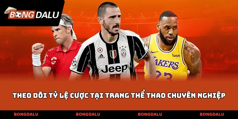 Theo dõi tỷ lệ cược tại trang thể thao chuyên nghiệp