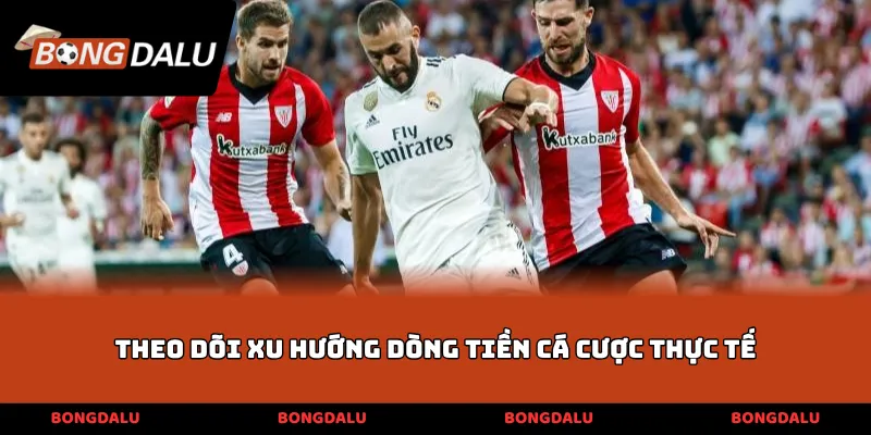 Theo dõi xu hướng dòng tiền cá cược thực tế