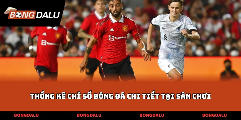 thống kê chỉ số bóng đá chi tiết tại sân chơi