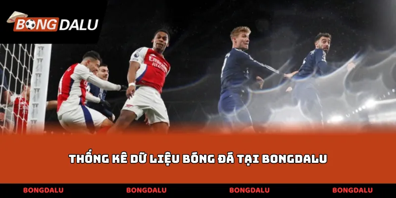 Thống kê dữ liệu bóng đá tại BONGDALU
