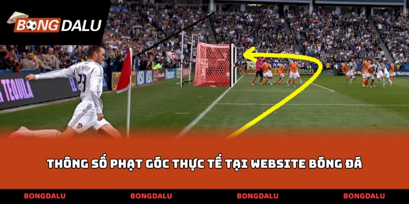 Thông số phạt góc thực tế tại website bóng đá