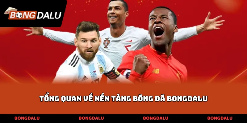 Tổng quan về nền tảng bóng đá Bongdalu