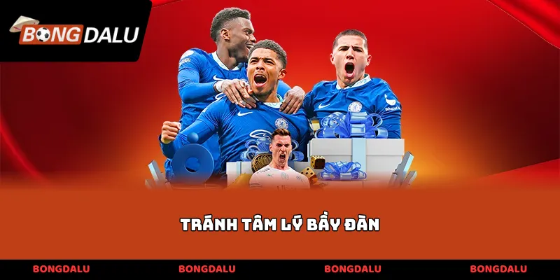 tránh tâm lý bầy đàn