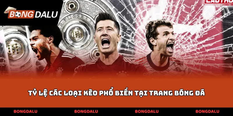 Tỷ lệ các loại kèo phổ biến tại trang bóng đá